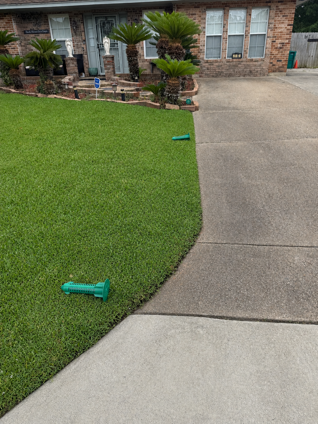 Is Termite Treatment Safe for Kids and Pets? What's Actually Used, and Where It Goes